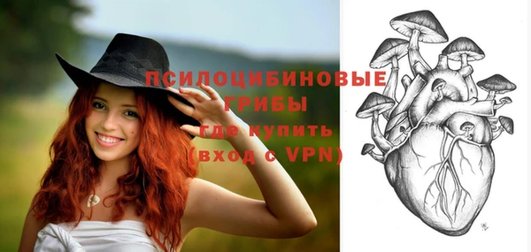 мяу мяу кристалл Корсаков
