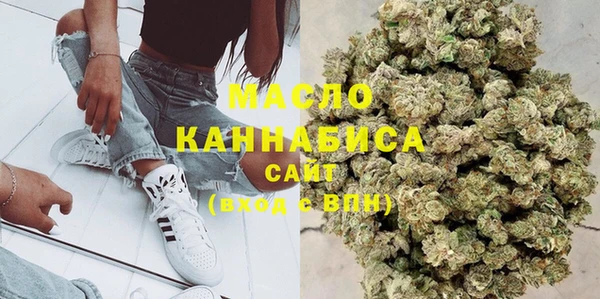 крисы Козельск