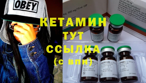 крисы Козельск