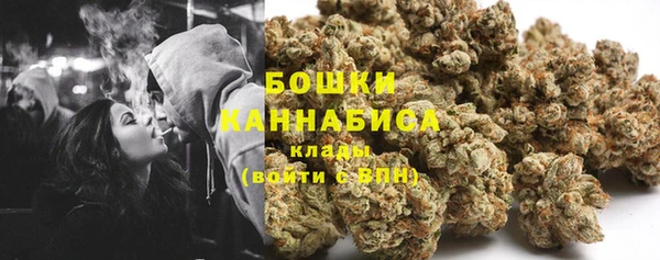 крисы Козельск