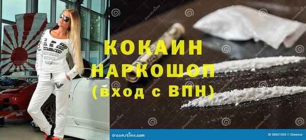 крисы Козельск