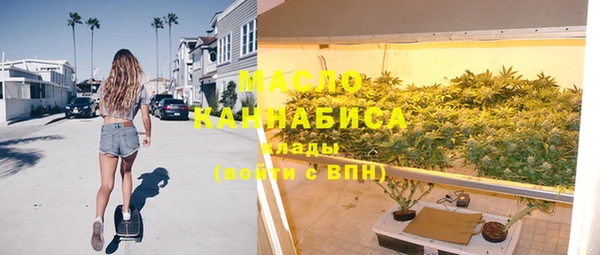 крисы Козельск