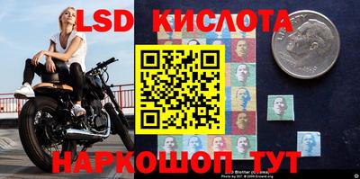 шишки Коммунар
