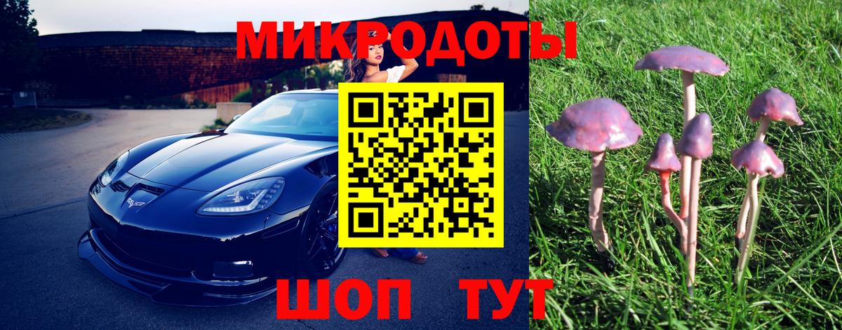 Галлюциногенные грибы Magic Shrooms  Рязань 